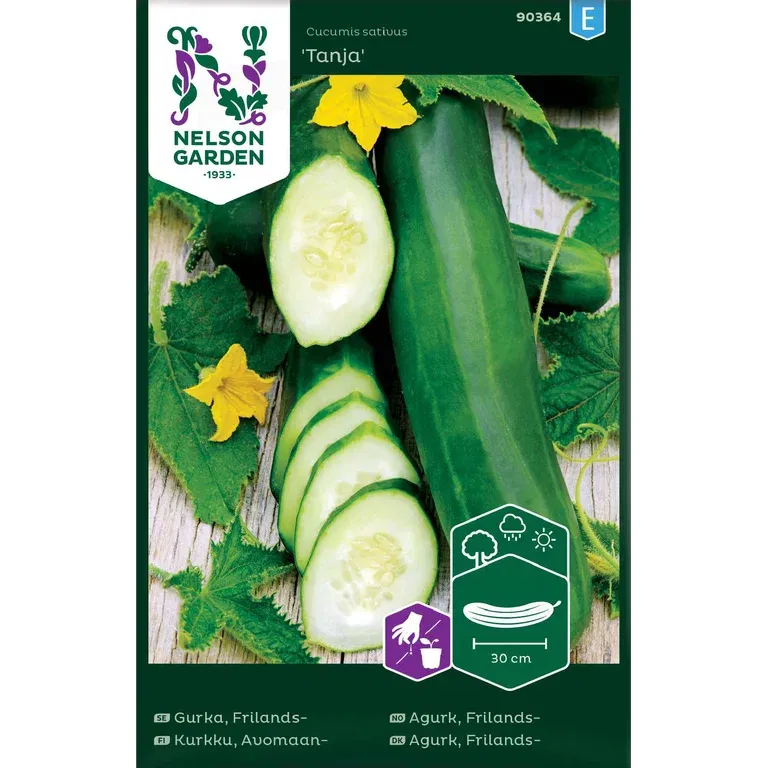 Frilandsgurka 'Tanja'