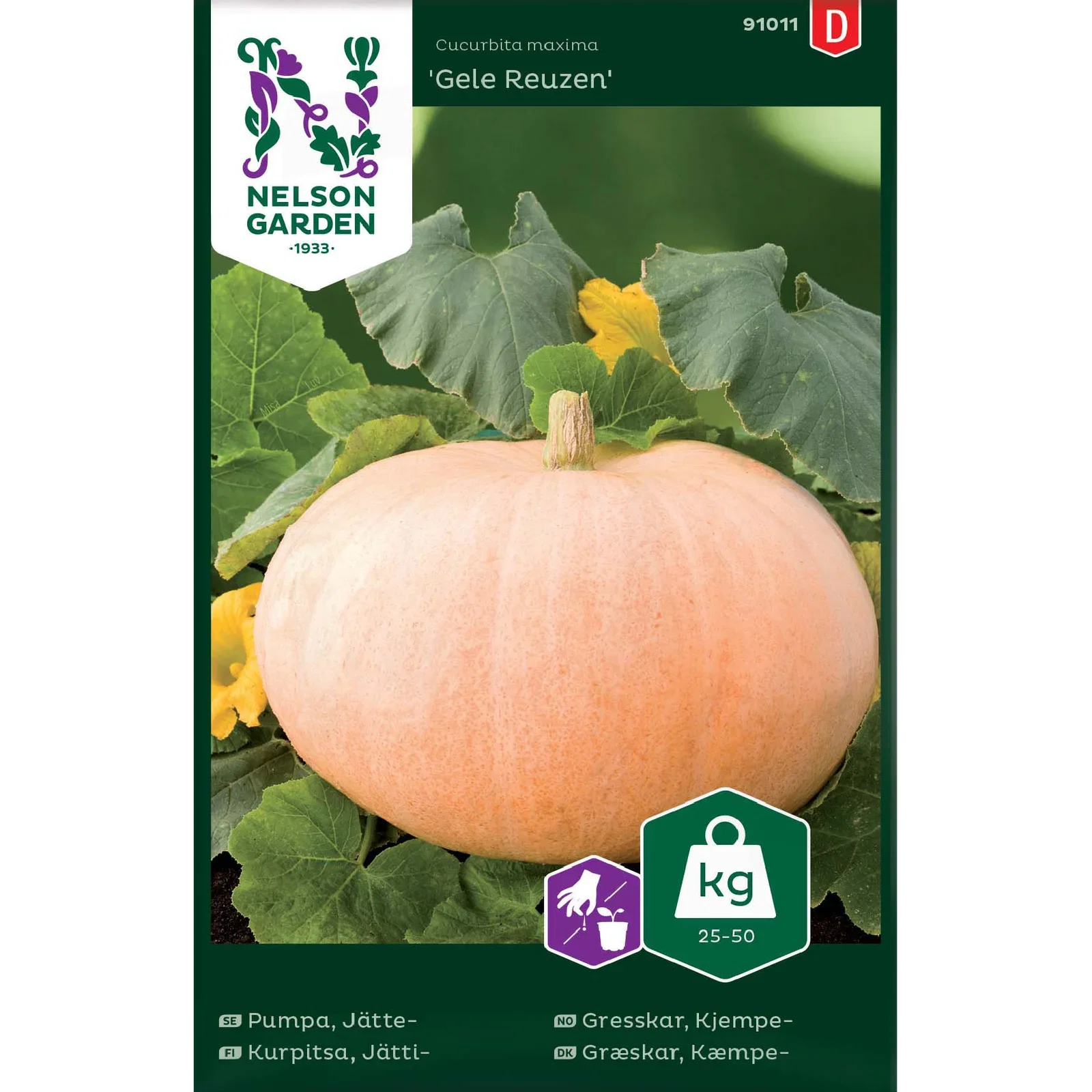 Jättepumpa 'Gele Reuzen'