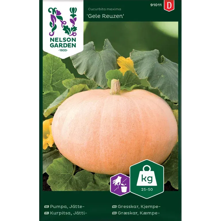 Jättepumpa 'Gele Reuzen'