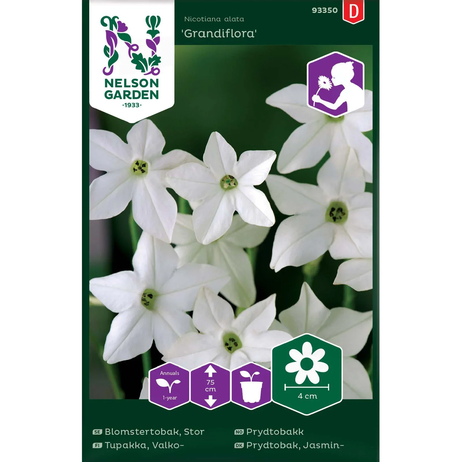 Stor Blomstertobak 'Grandiflora'