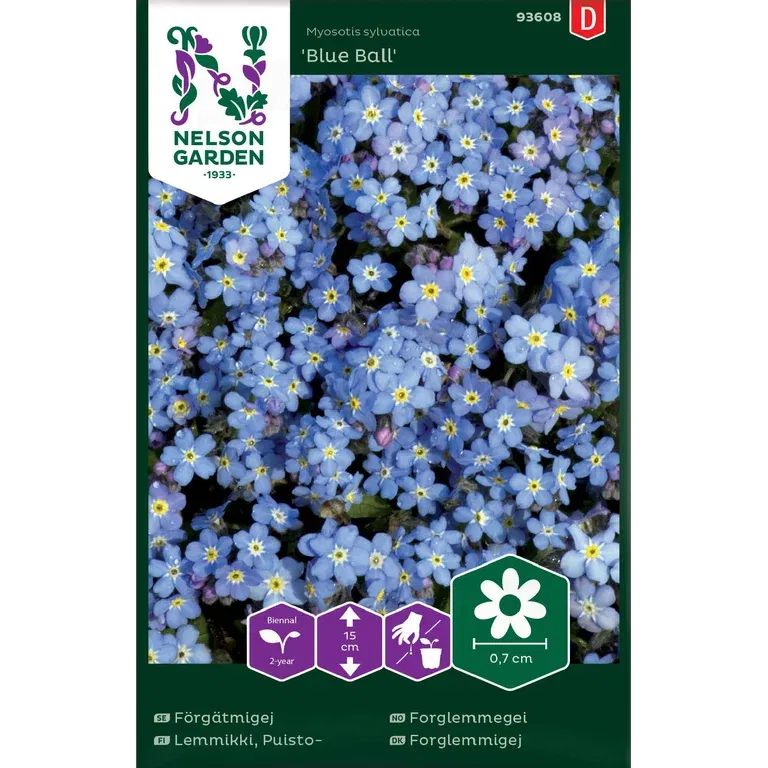 Skogsförgätmigej 'Blue Ball'