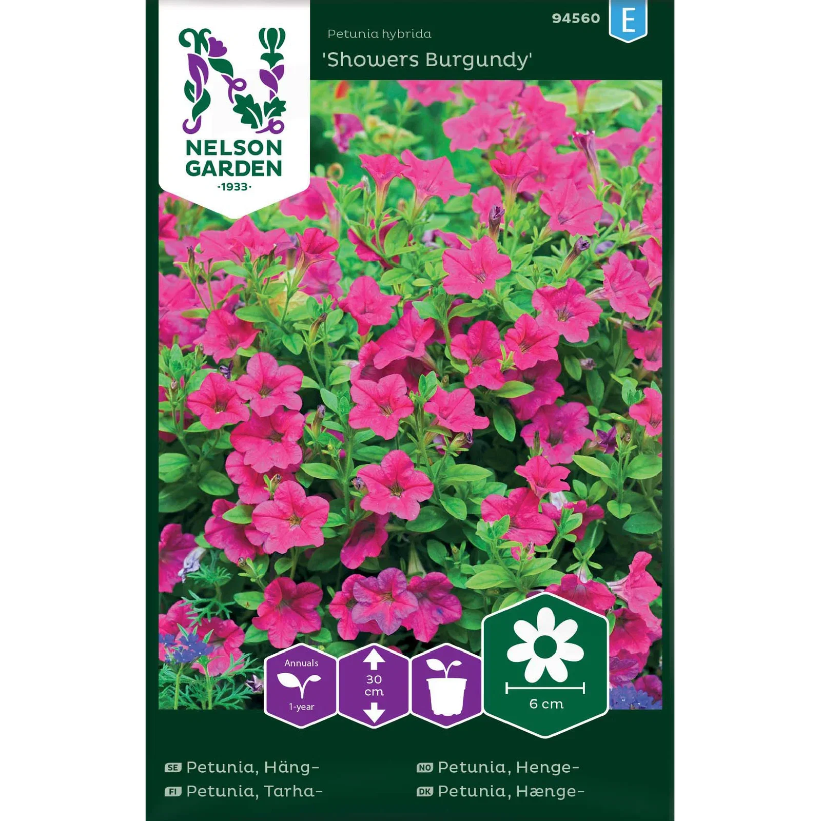 Hängpetunia 'Showers Burgundy'