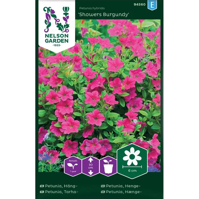 Hängpetunia 'Showers Burgundy'