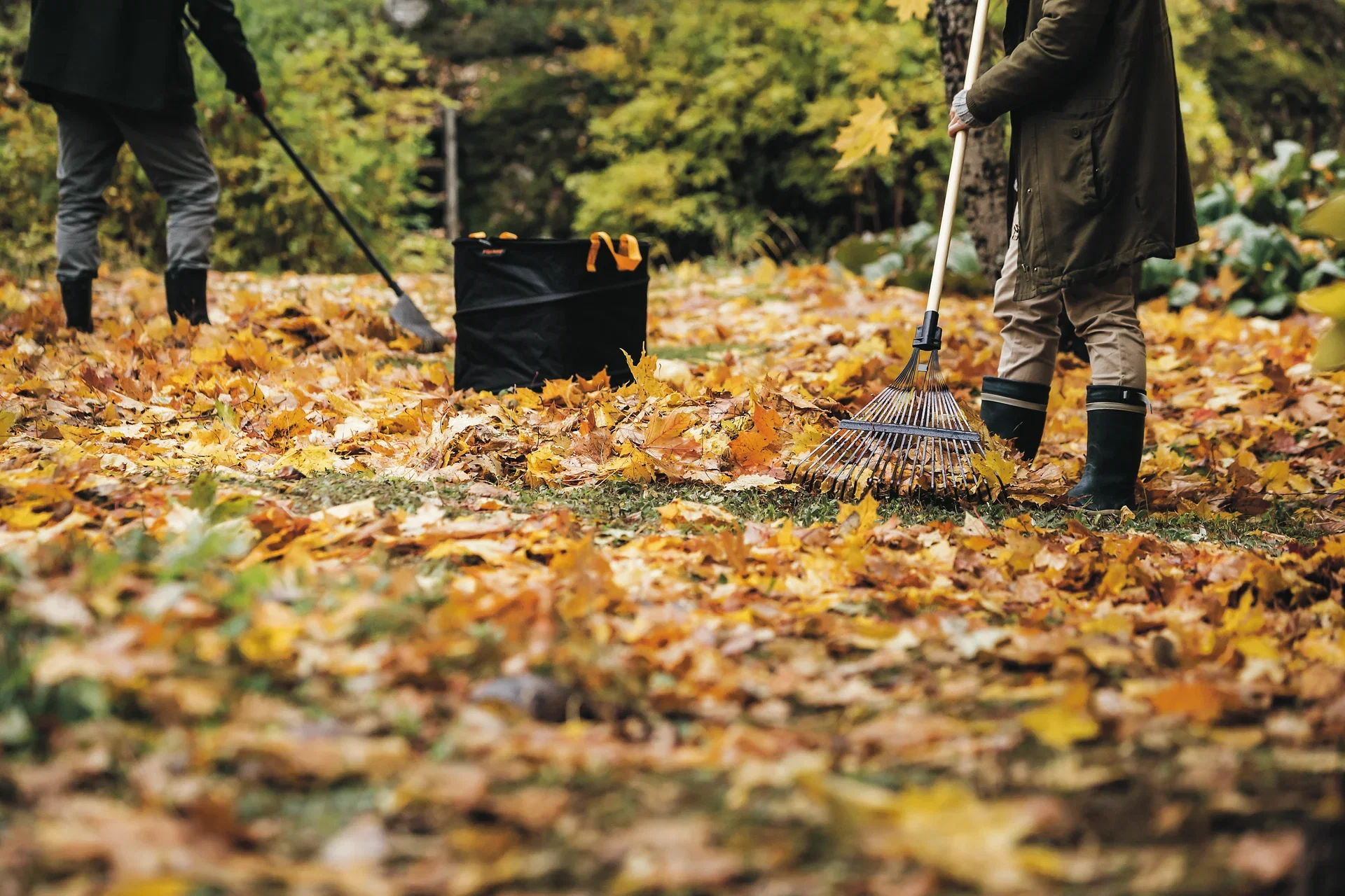 Lövräfsa 20-tandad