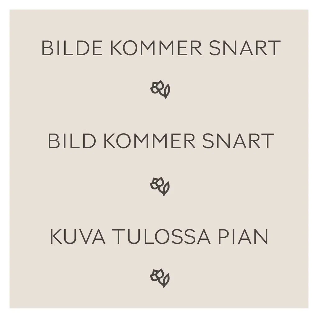 Stjärnnarciss mix Double Duo