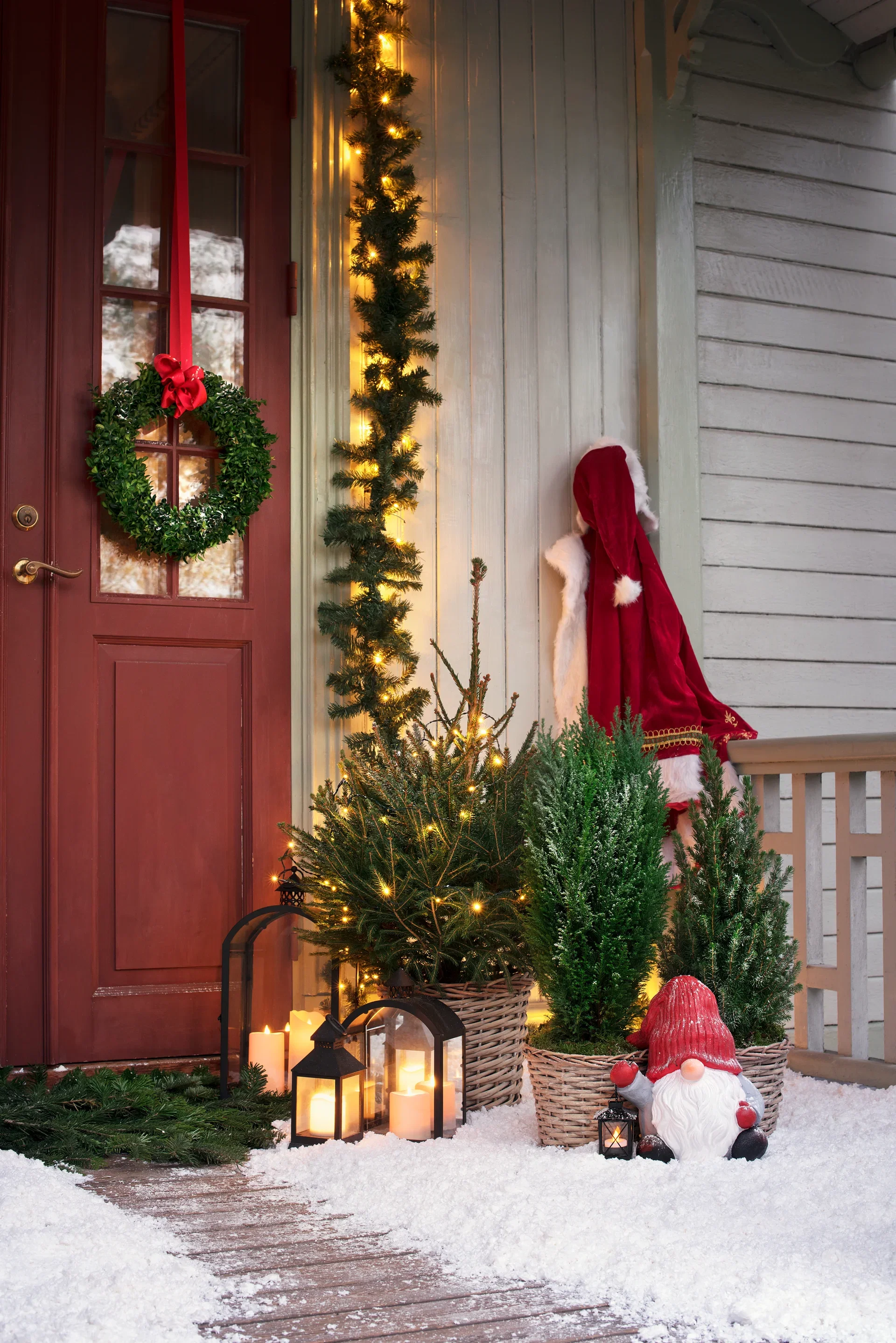 Kinesisk en 'Stricta'