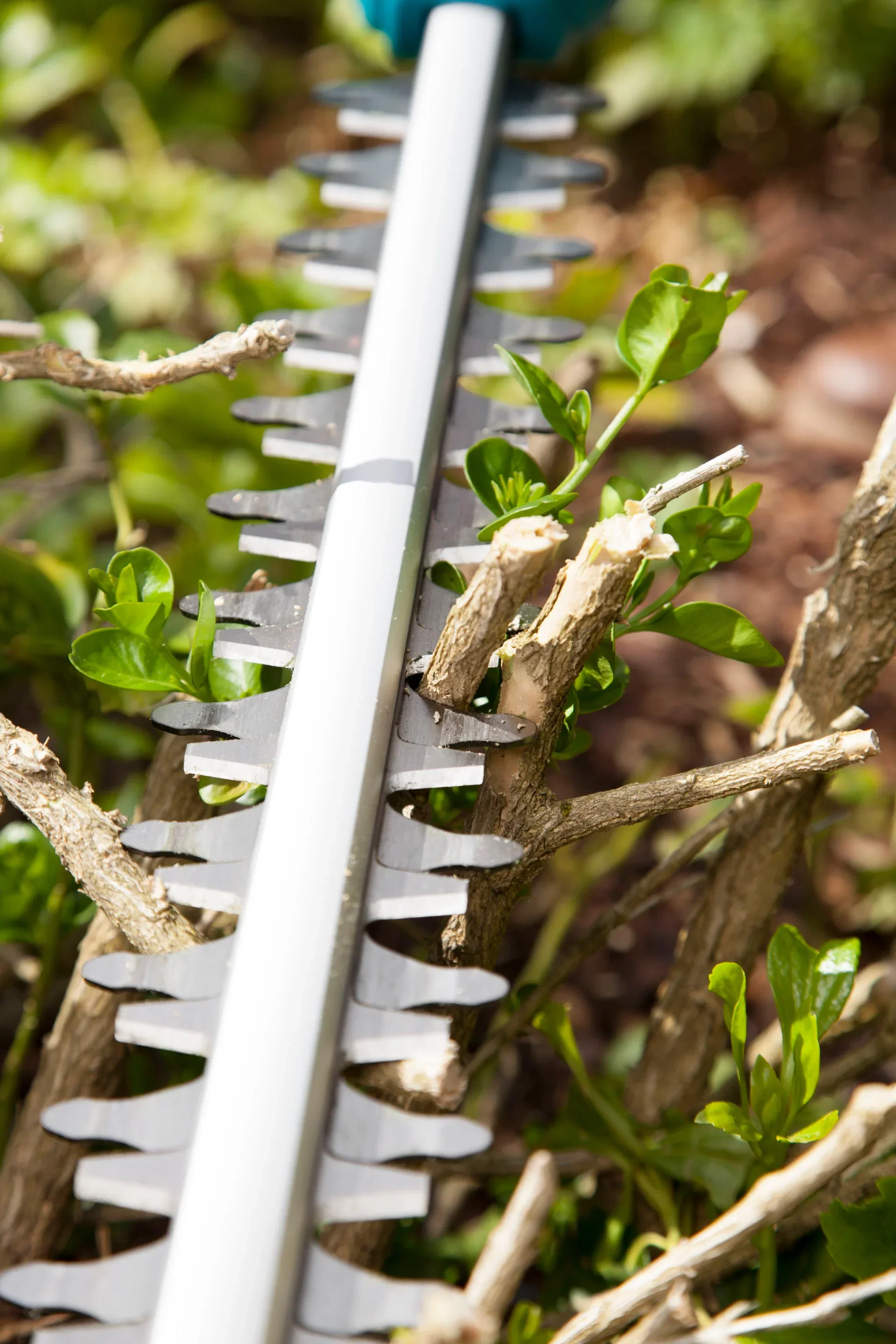 Häcksaxen Teleskopisk