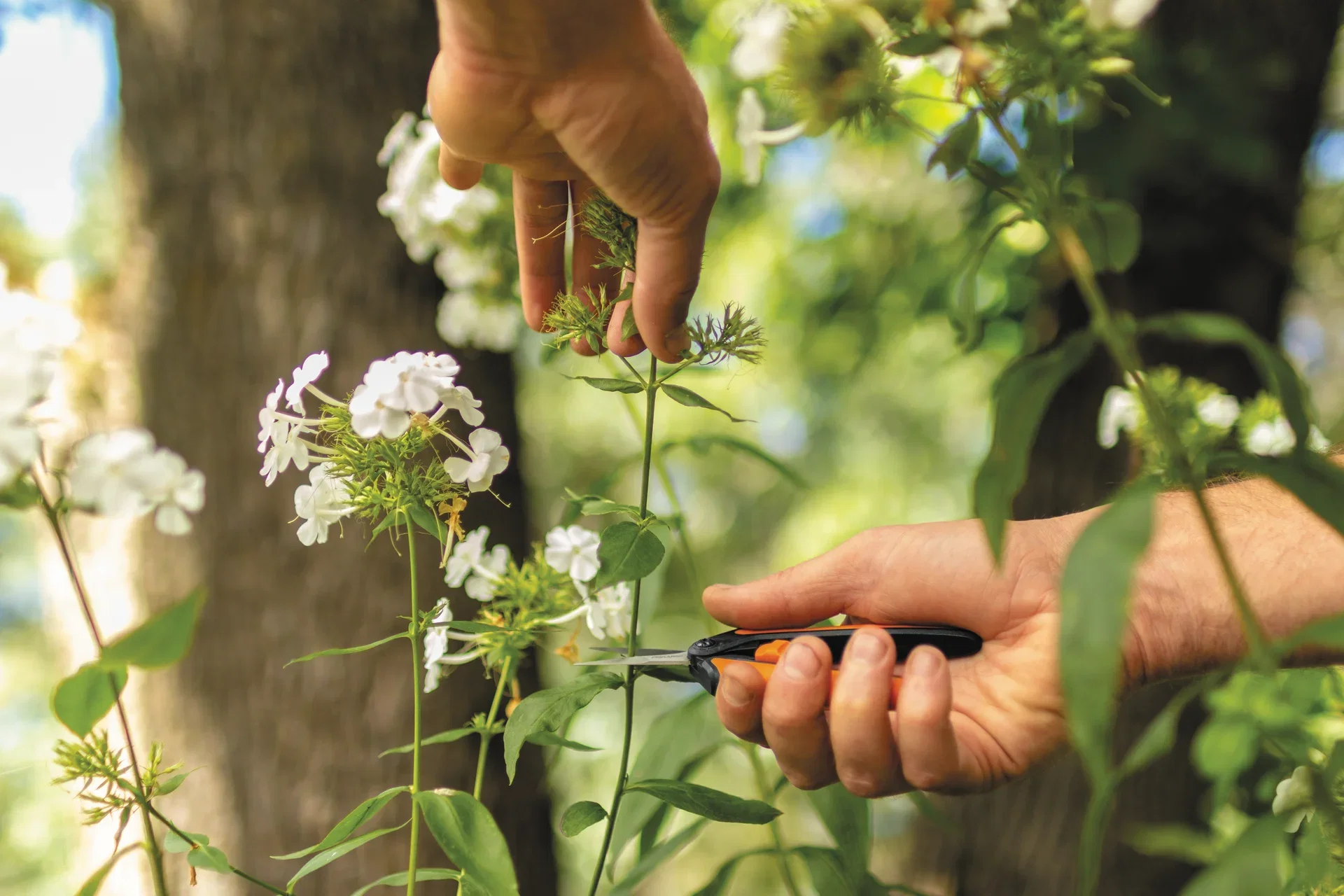 Örtsax Solid P13 microtip