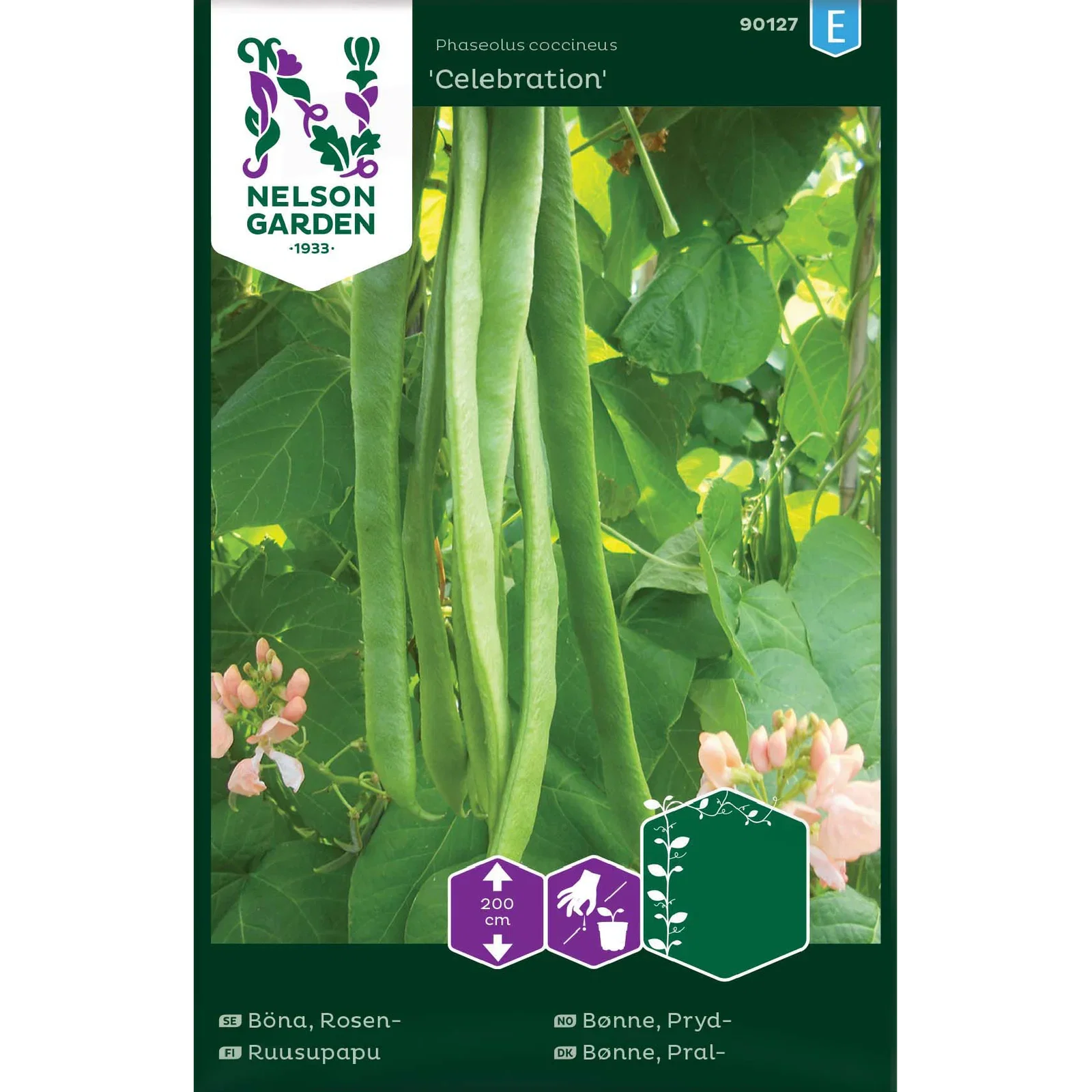 Rosenböna/Blomsterböna 'Celebration'