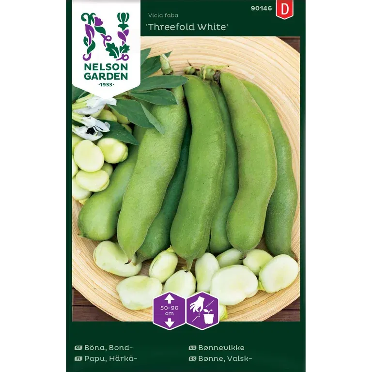 Bondböna 'Threefold White'