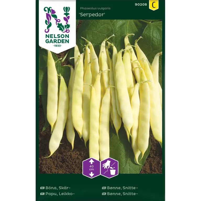 Skärböna 'Serpedor'