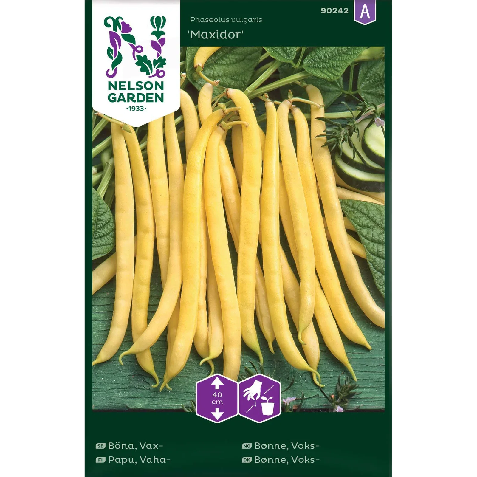 Vaxböna 'Maxidor'