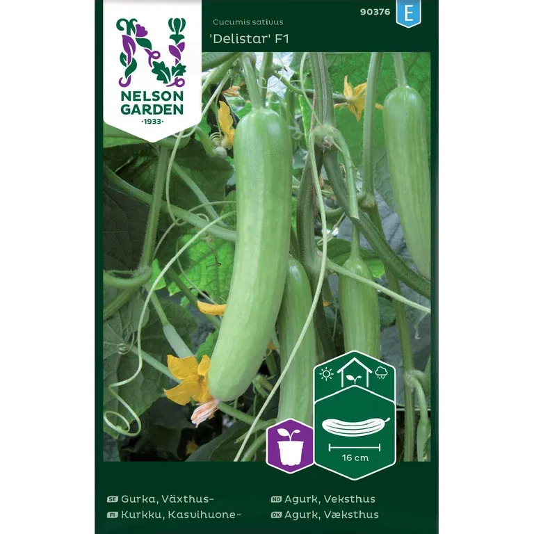 Växthusgurka 'Delistar' F1