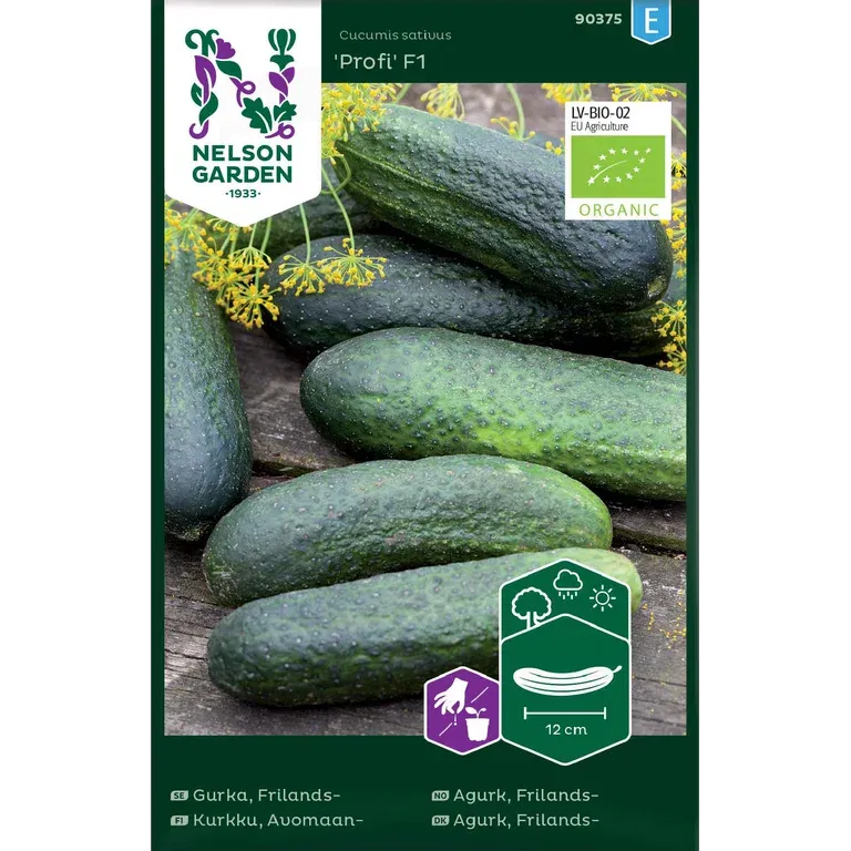 Frilandsgurka 'Profi' F1