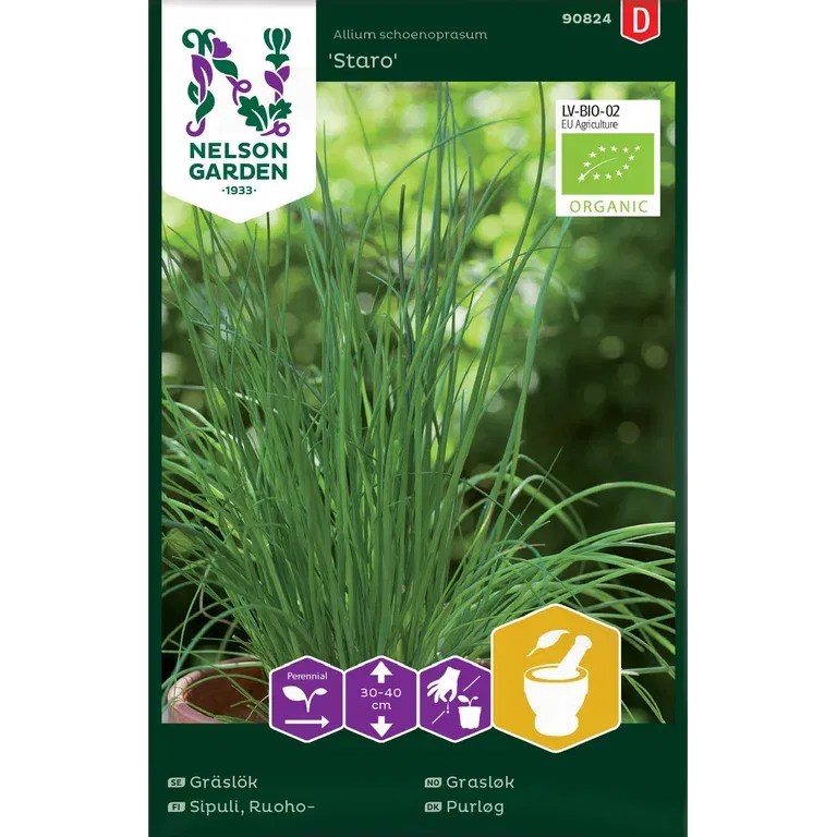 Gräslök 'Staro'
