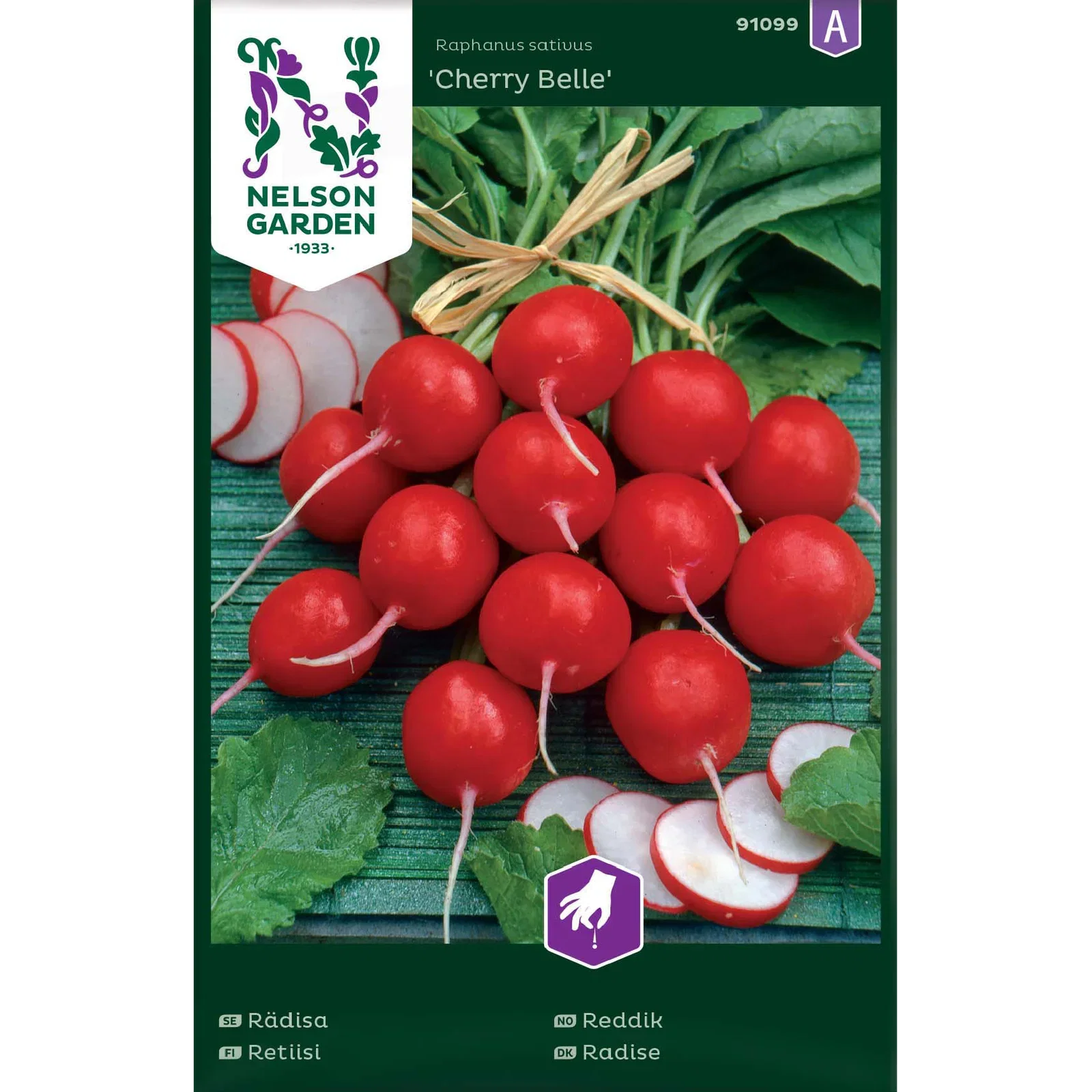 Rädisa 'Cherry Belle'