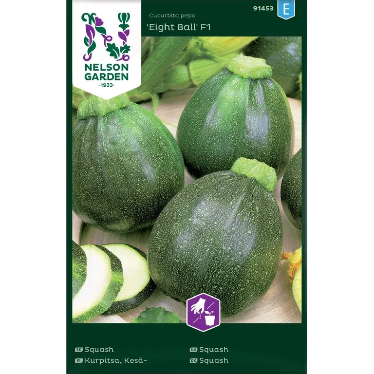 Squash / Sommarpumpa 'Eight Ball' F1