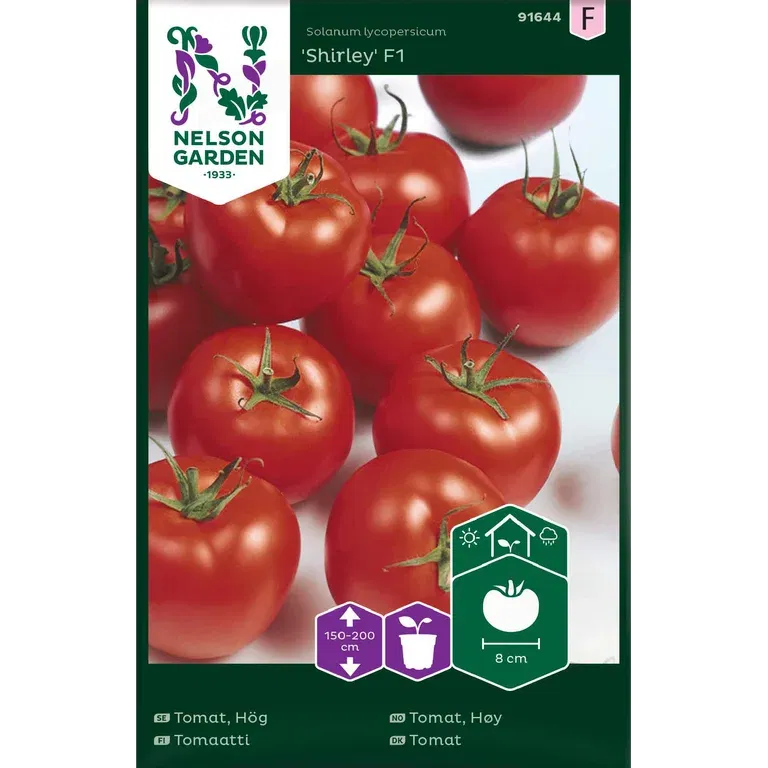 Tomat 'Shirley'