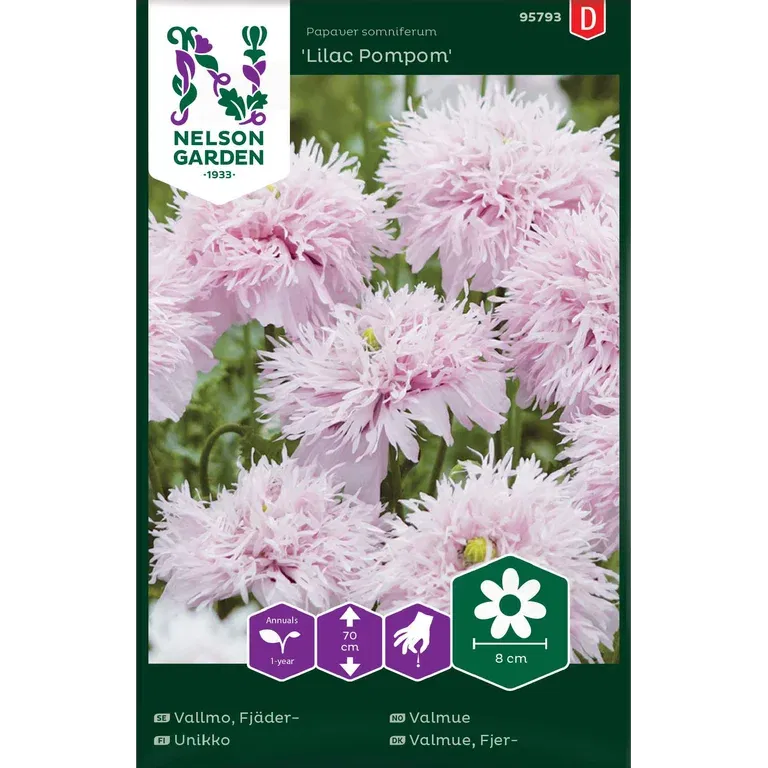 Fjädervallmo 'Lilac Pompom'