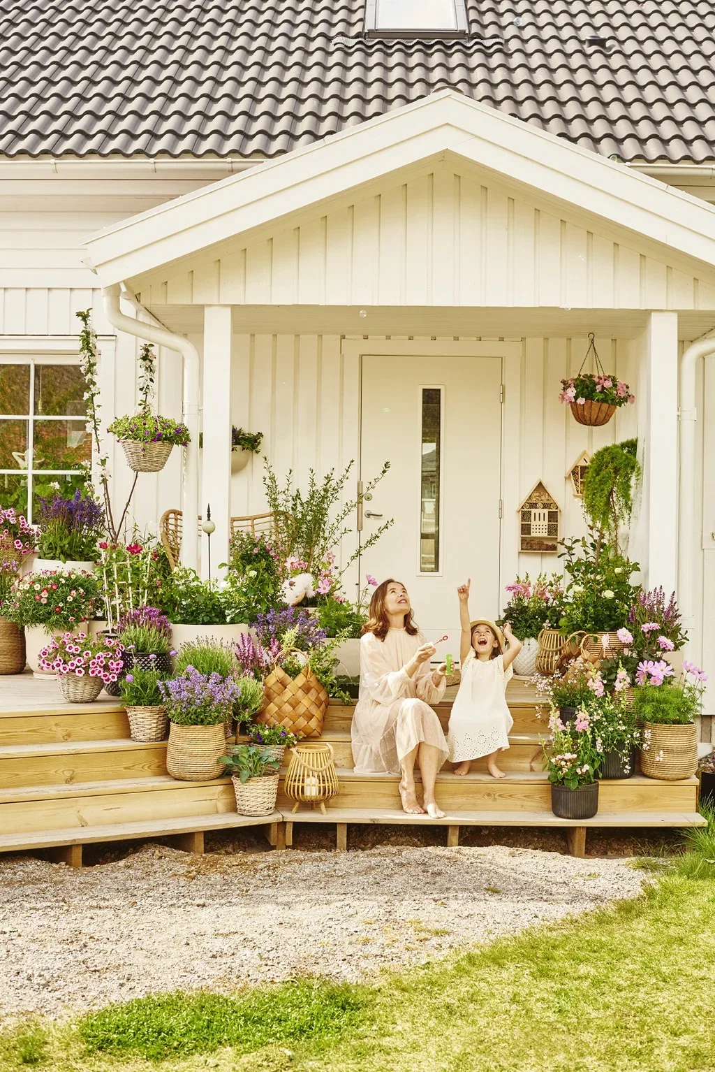 Kantnepeta 'Purrsian Blue'