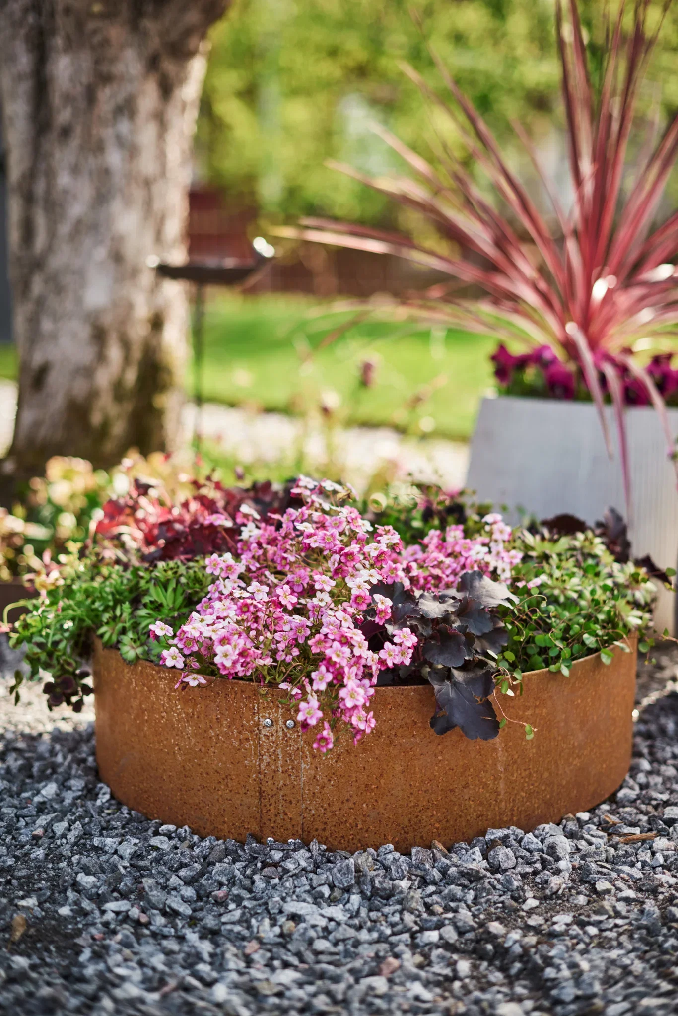 Odlingskrage i obehandlat järn