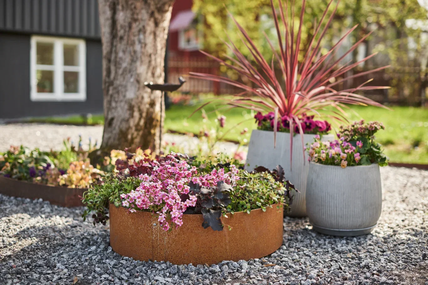 Odlingskrage i obehandlat järn