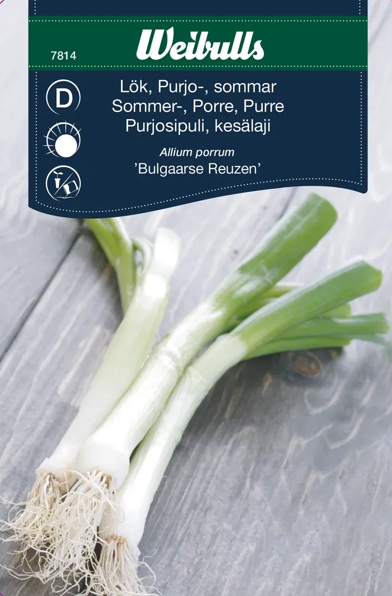 Purjolök 'Bulga'