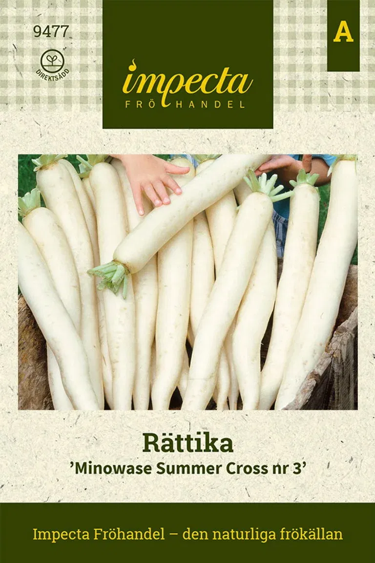 Rättika 'Minowase Summer Cross Nr 3'