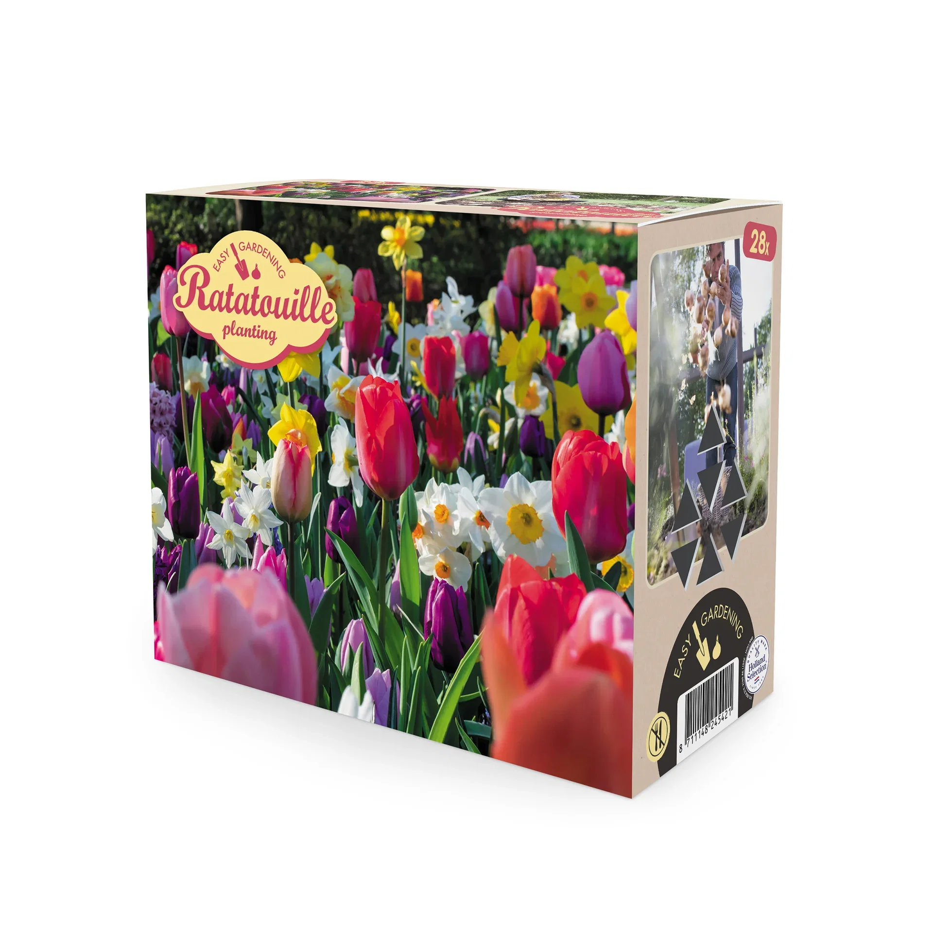 Vårblommande lök mix Ratatouille