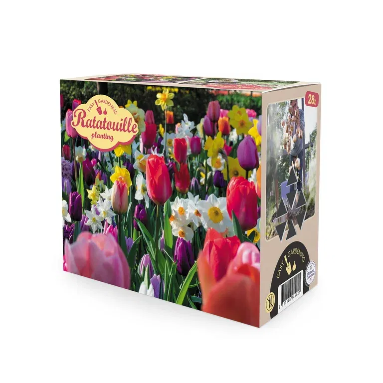 Vårblommande lök mix Ratatouille