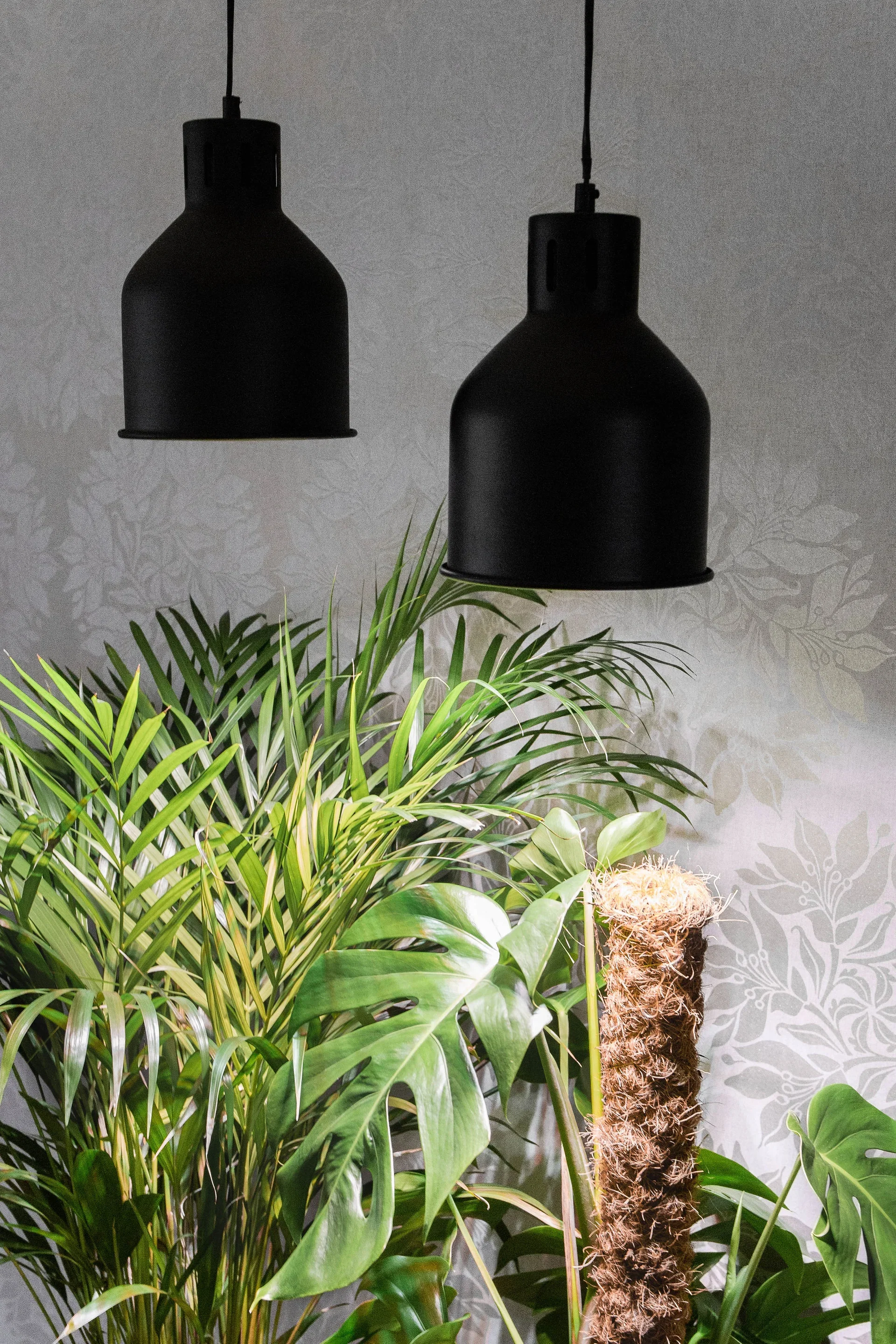 Växtbelysning hängarmatur Saga