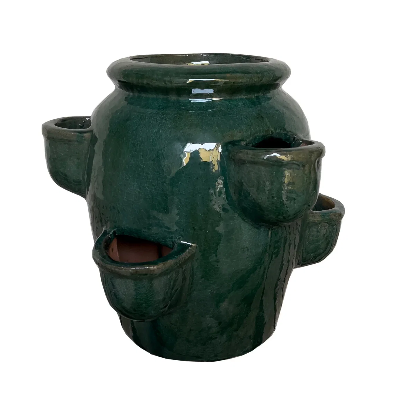 Jordgubbskruka Gilbert