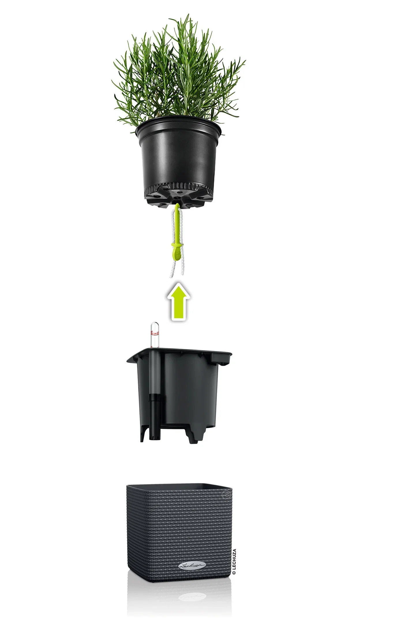 Självbevattnande kruka Cube