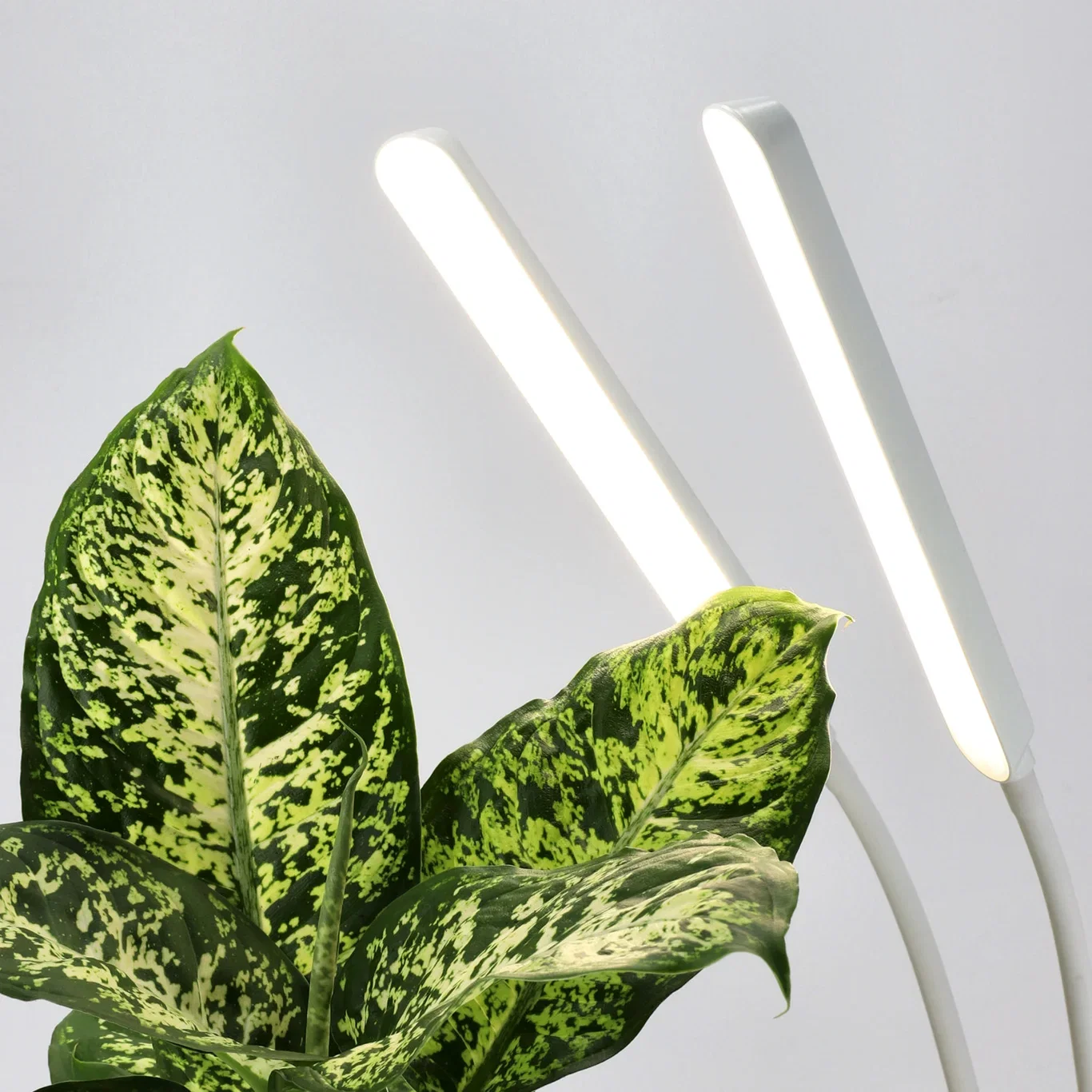 Växtbelysning LED 16W Apollo