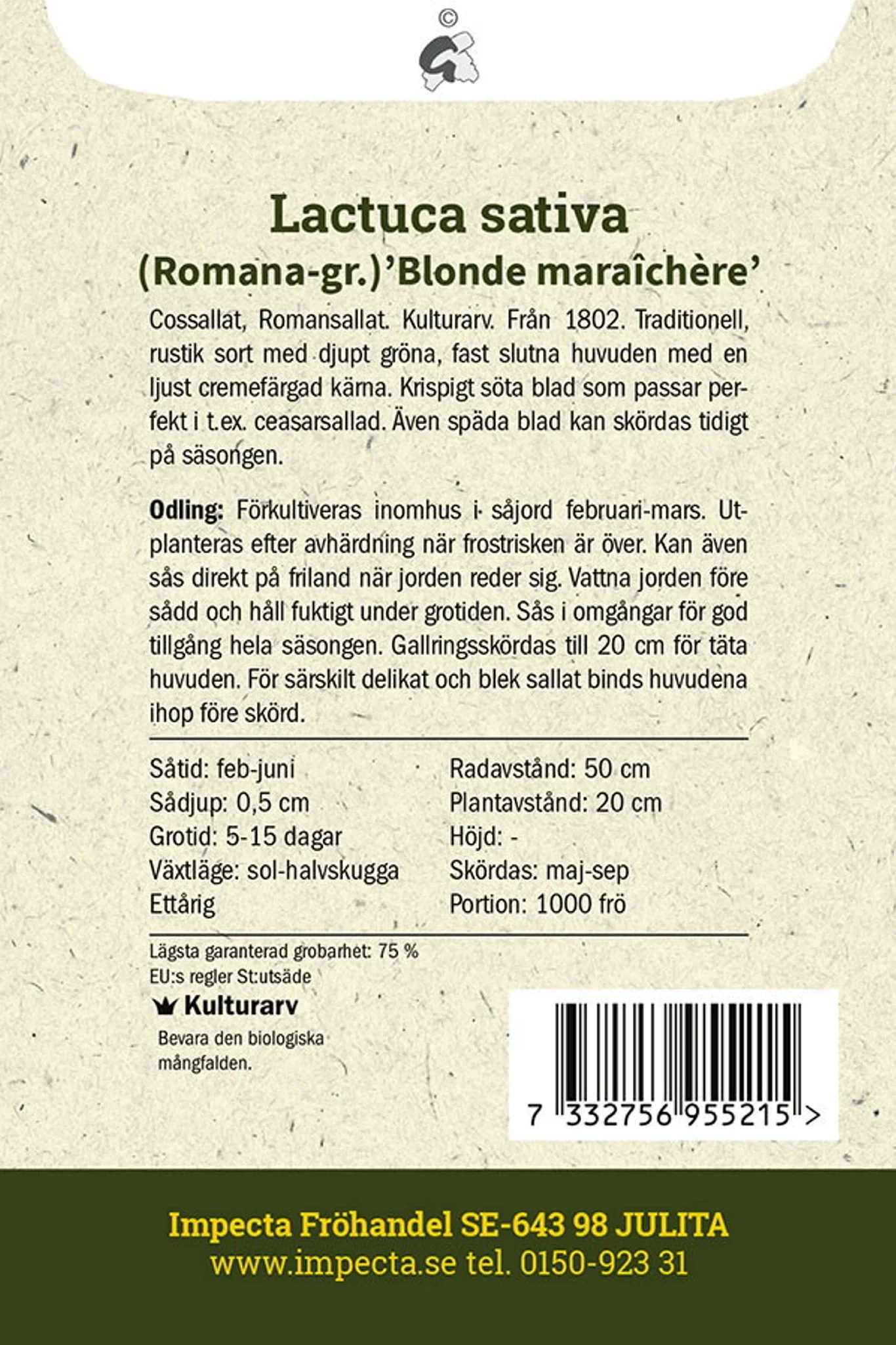 Bindsallat 'Blonde maraîchère'