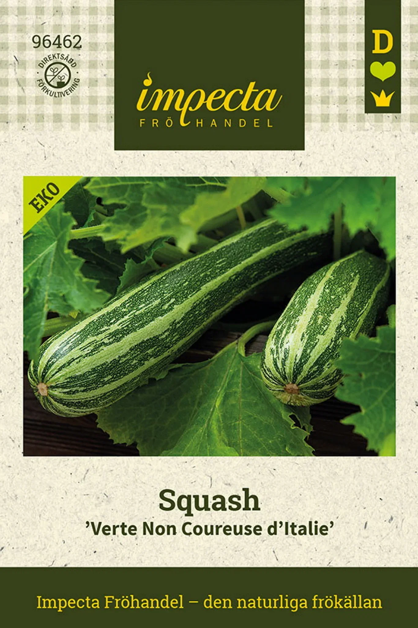 Squash 'Verte Non Coureuse d'Italie'