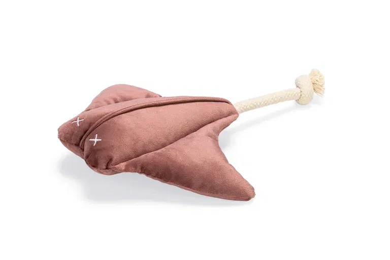 Hundleksak Ray Designed by Lotte