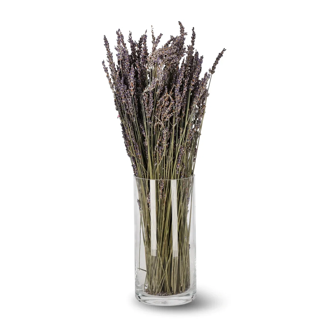 Lavendel