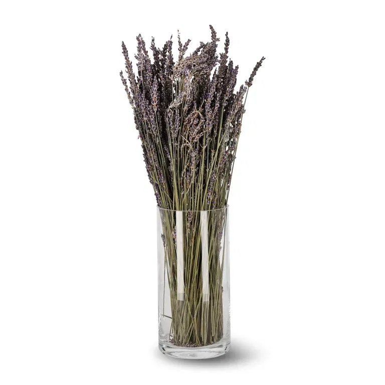 Lavendel