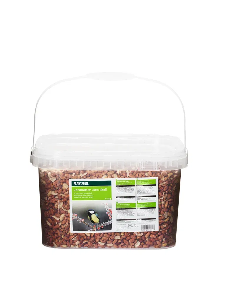 Fågelmat skalade jordnötter i hink