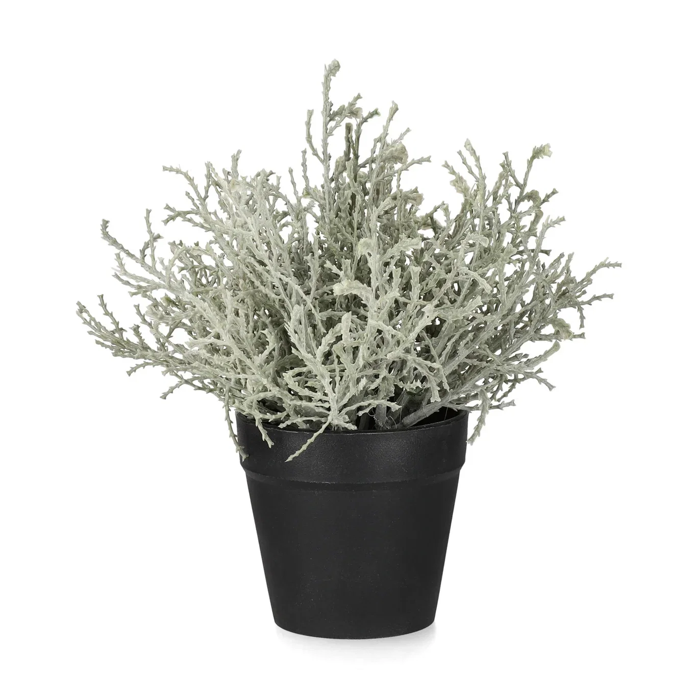 Silvergirland konstgjord