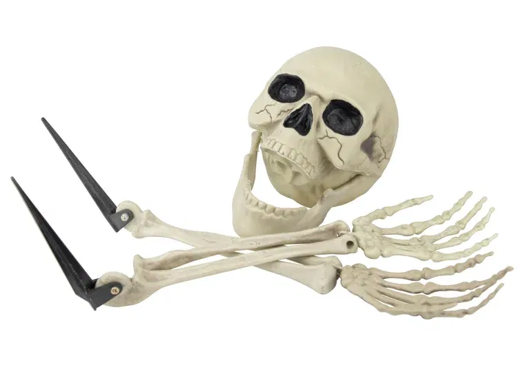 Halloweendekoration skelettdelar