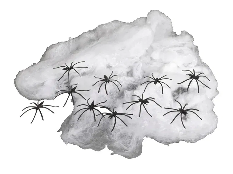 Halloweendekoration spindelväv