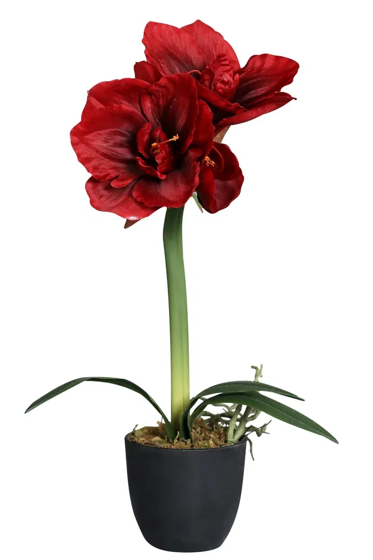 Amaryllis i kruka konstgjord