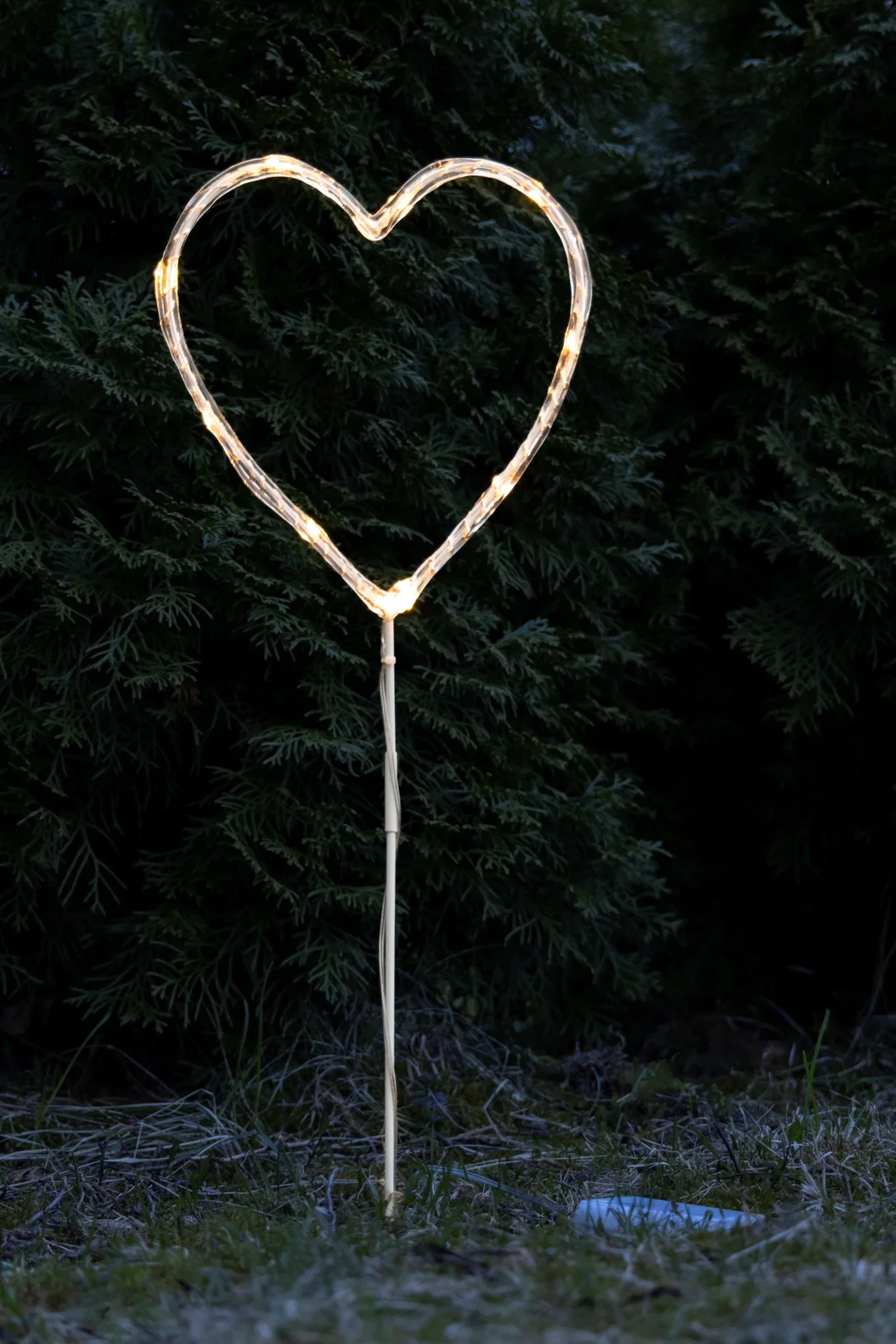 Hjärta på en pinne