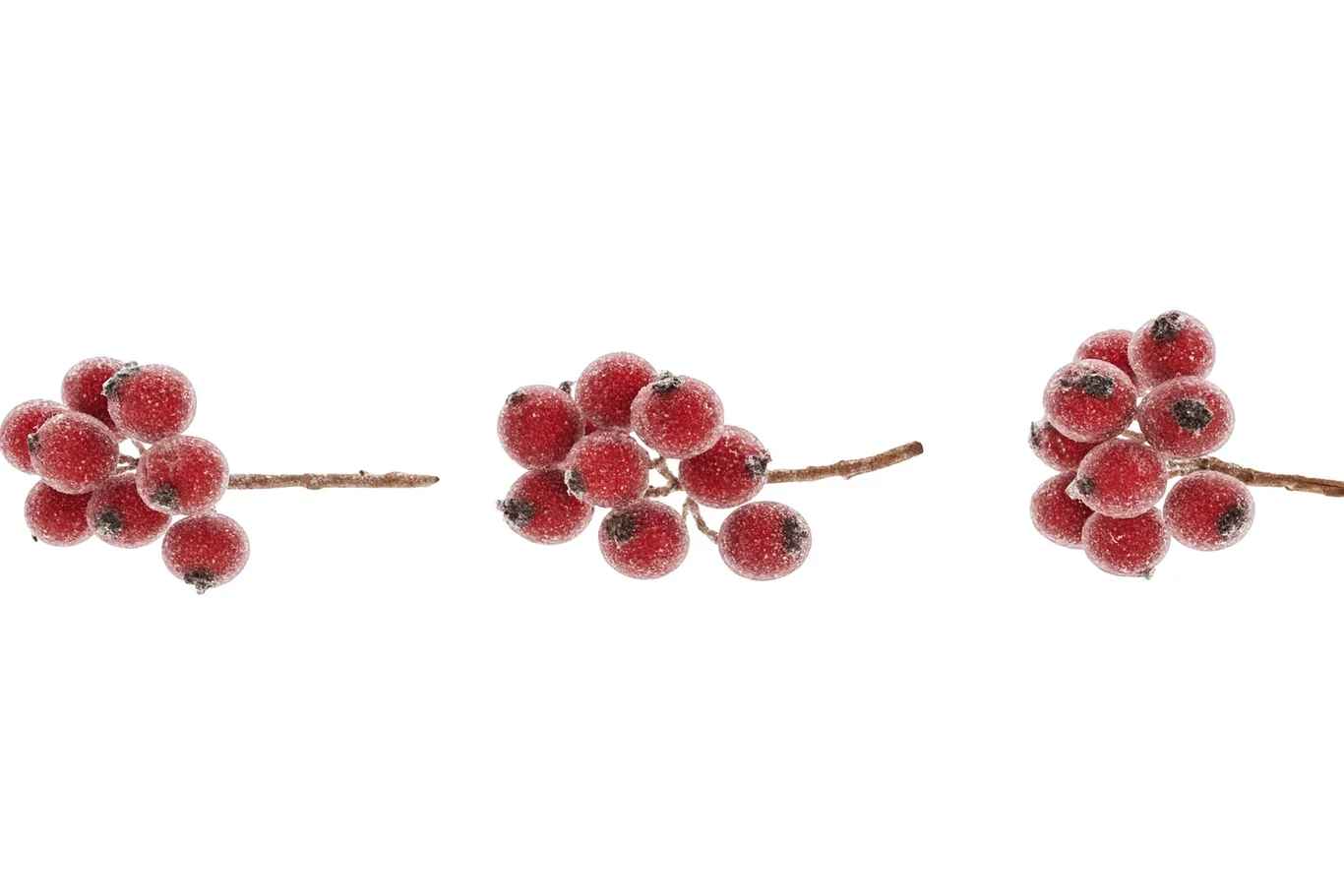 Dekorativa bär på stjälk