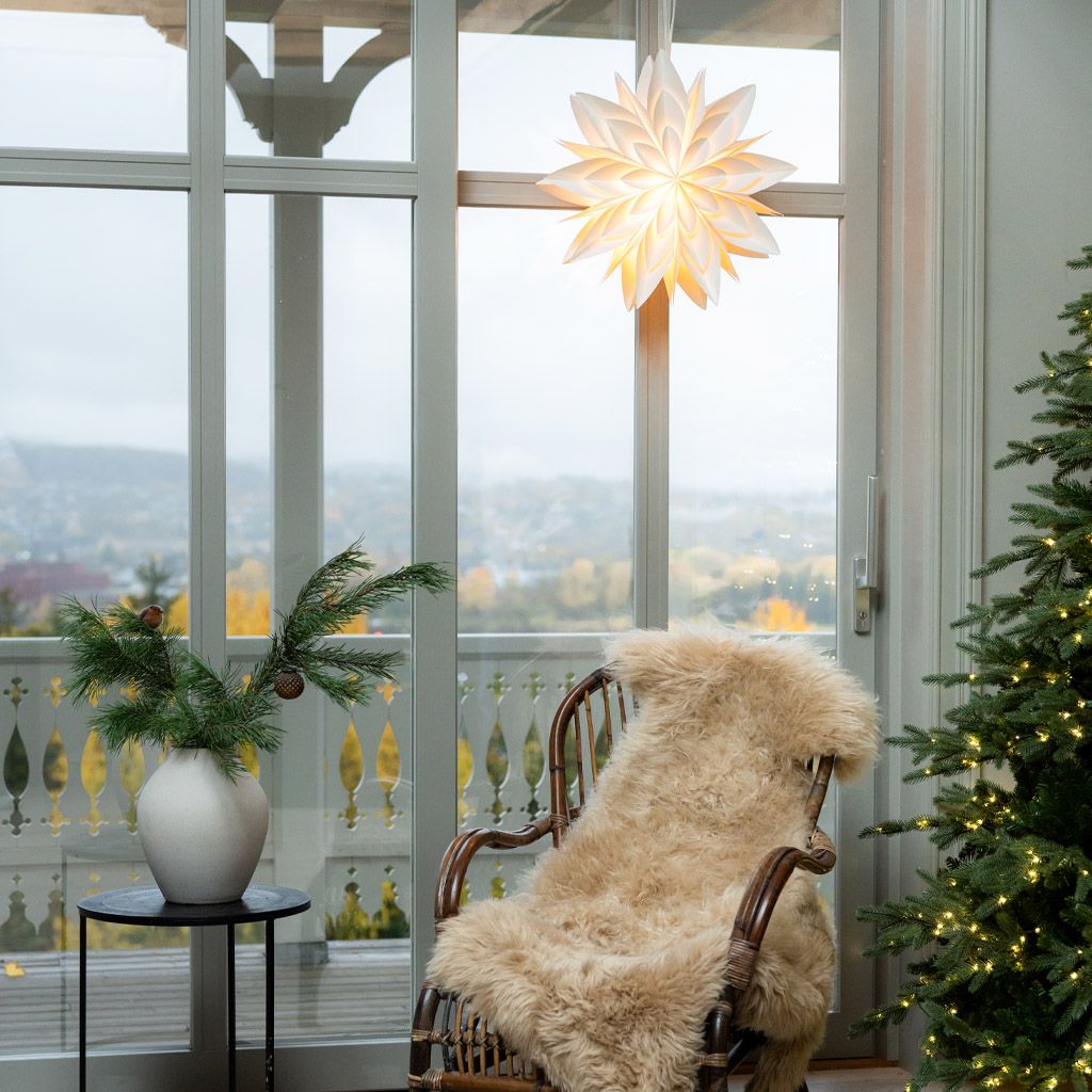 Image of Adventsstjärnor 50%