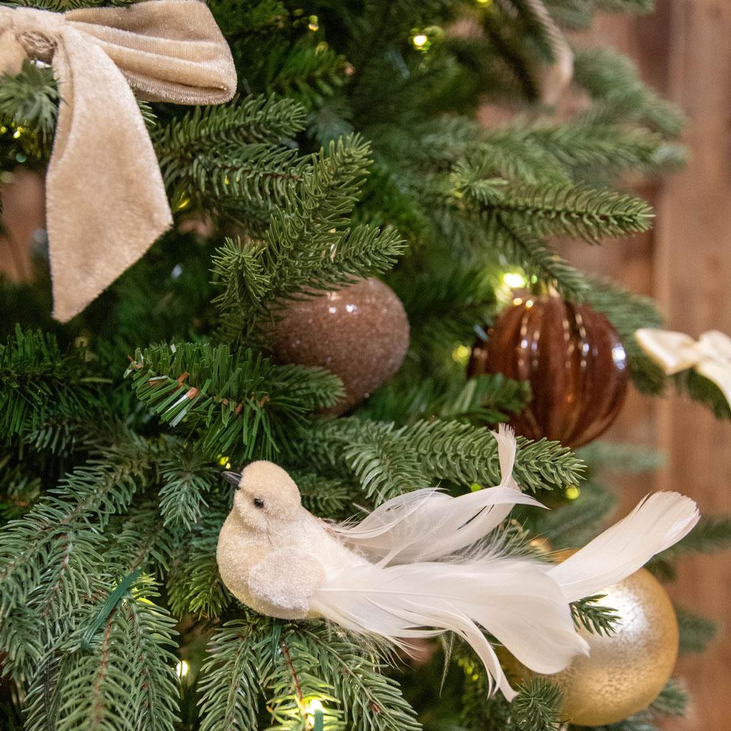 Detta är en bildillustration av 🪶