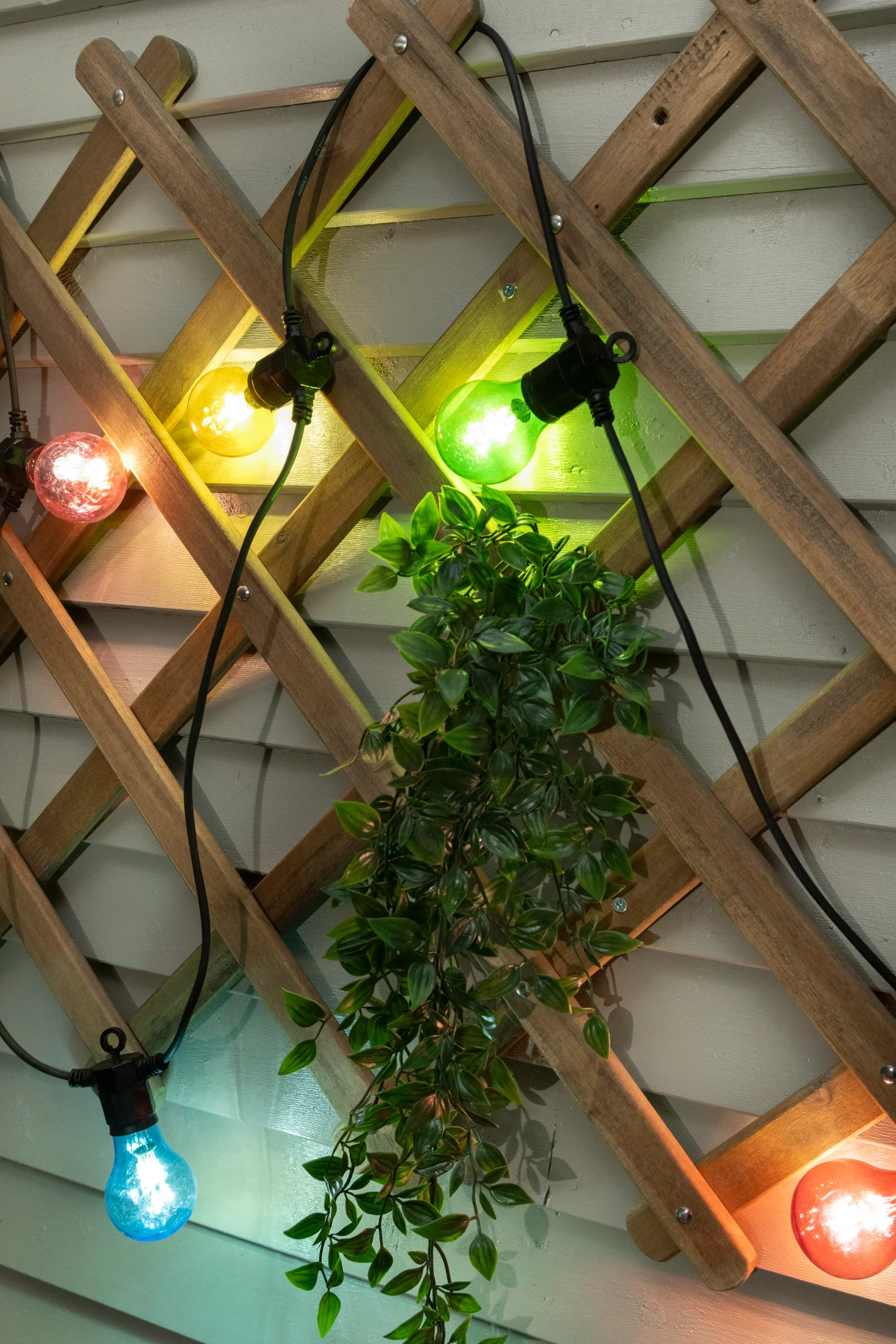 Ljusslinga Flerfärgad