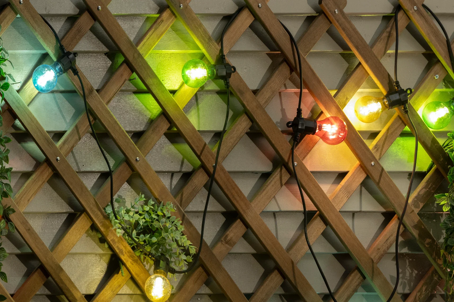 Ljusslinga Flerfärgad